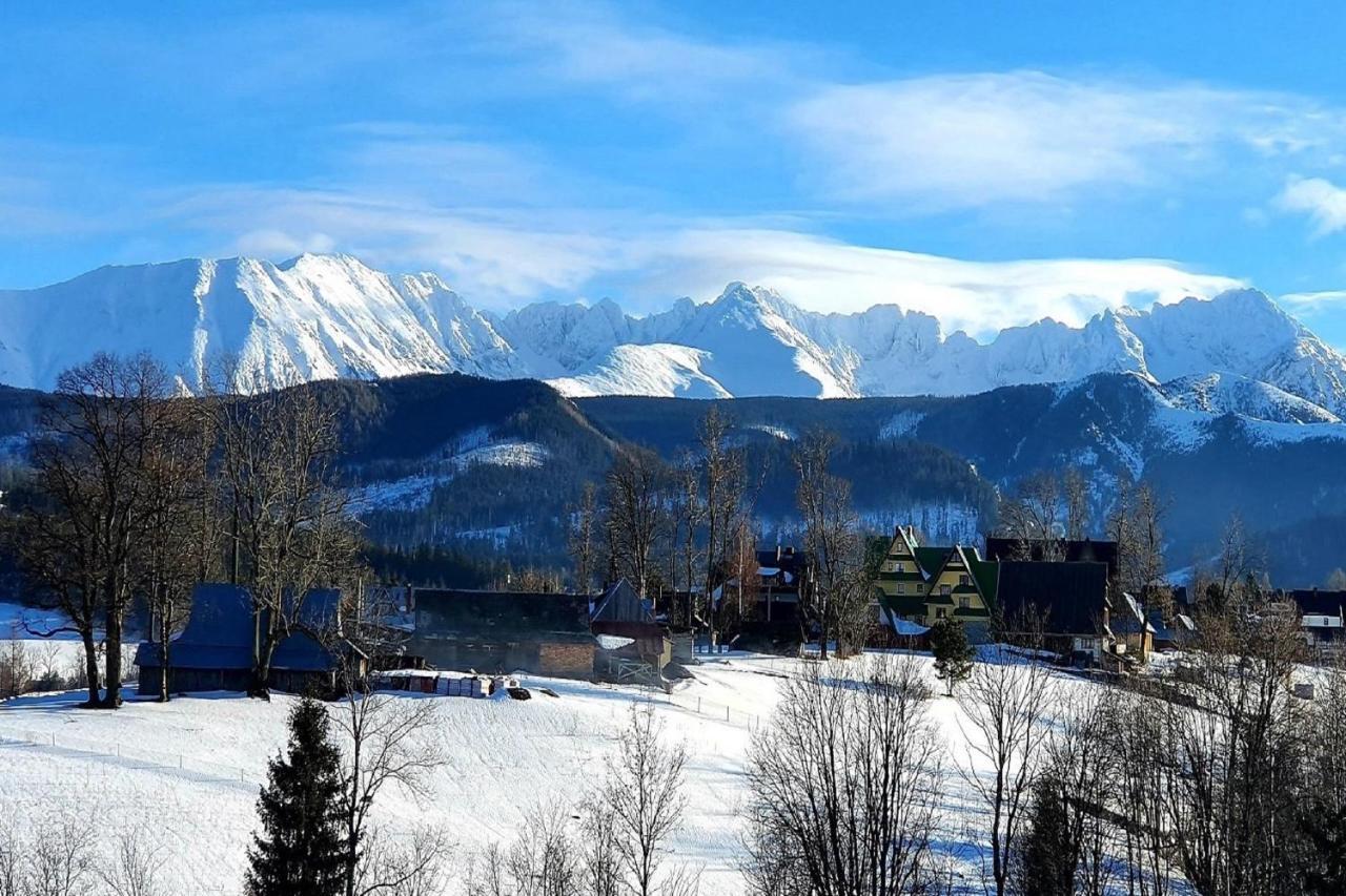 Tatrzanska Rezydencja Pod Brzyzkiem Zakopane Exteriör bild