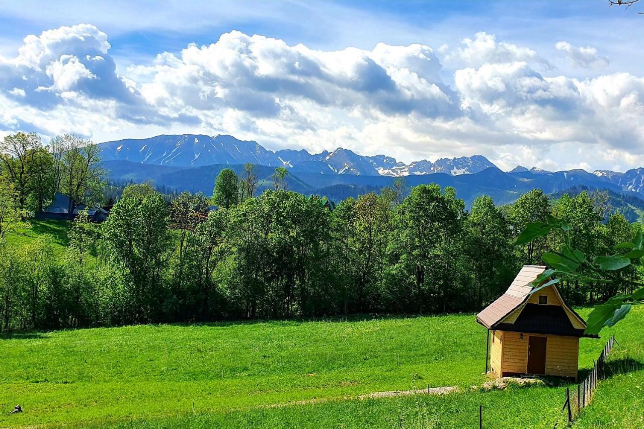 Tatrzanska Rezydencja Pod Brzyzkiem Zakopane Exteriör bild