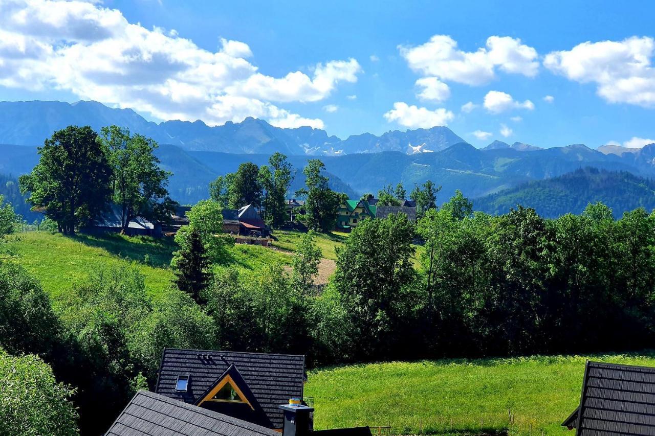 Tatrzanska Rezydencja Pod Brzyzkiem Zakopane Exteriör bild